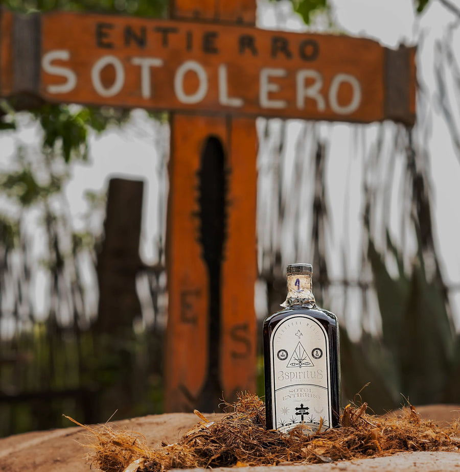 Acceso General / Entierro Sotolero